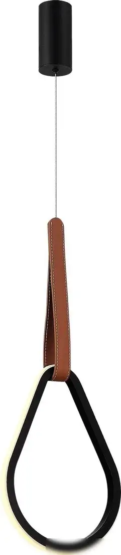 Подвесная люстра ST Luce SL6131.413.12 – фото товара