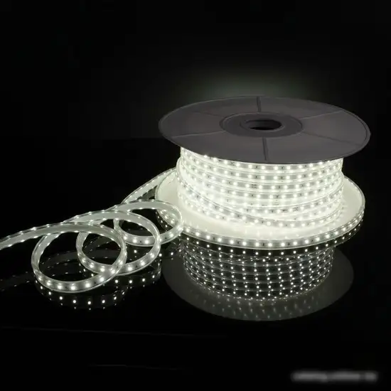 Светодиодная лента Elektrostandard 220V 8W 60Led 2835 IP65 холодный белый a053638 – фото товара