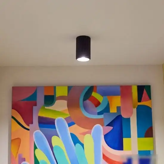 Точечный светильник Elektrostandard DLN112 GU10 (черный) – фото товара