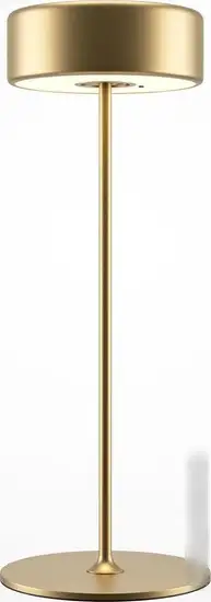 Настольная лампа Maytoni AI Collaboration MOD229TL-L3G3K2 – фото товара