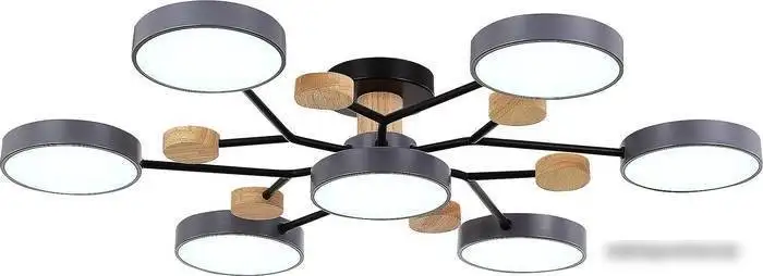 Припотолочная люстра Evoluce Faema SLE6006-702-07 – фото товара