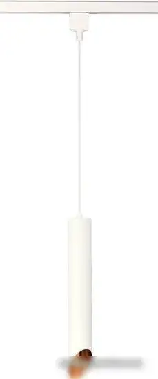 Трековый светильник ST Luce ST801.436.20  – фото товара