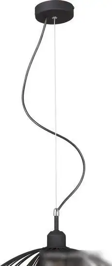 Подвесная люстра Vitaluce V4984-1/1S – фото товара