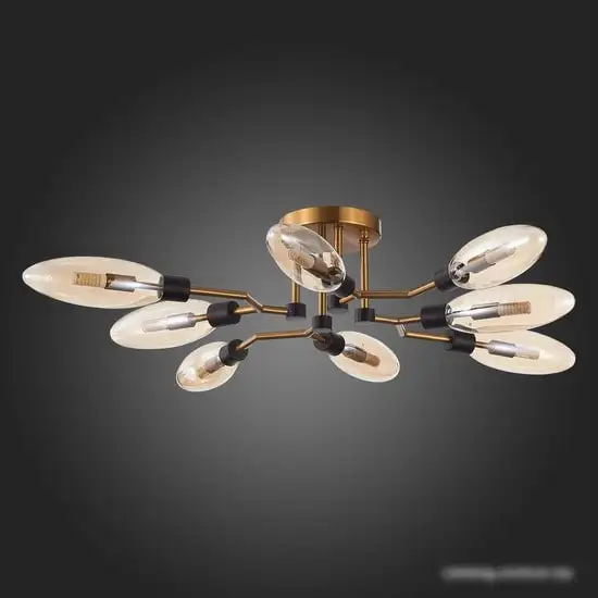 Припотолочная люстра ST Luce Desima SL1174.302.08 – фото товара