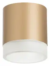 Lightstar Rullo R349080 – изображение в каталоге