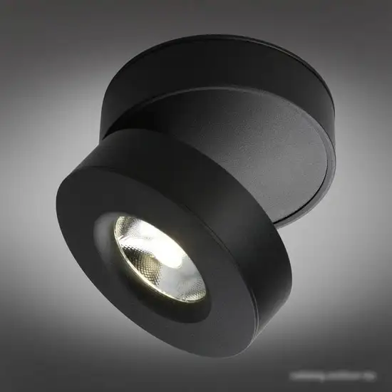 Спот Omnilux Borgetto OML-101919-12 – фото товара