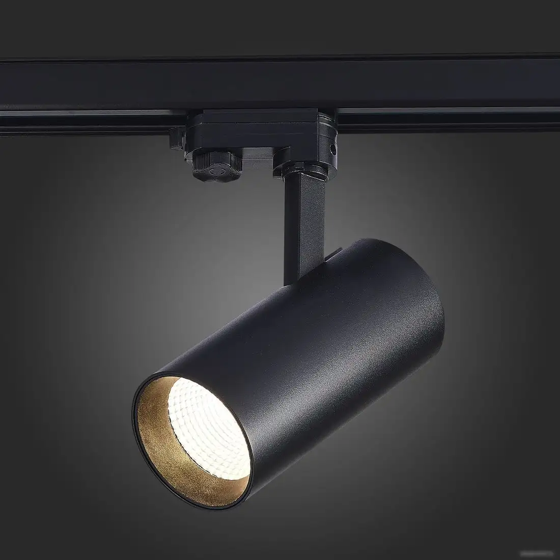 Трековый светильник ST Luce ST661.446.30 – фото товара