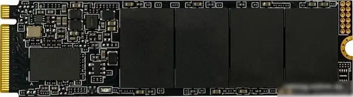 SSD AGI AI818 1TB AGI1T0G43AI818 – фото товара