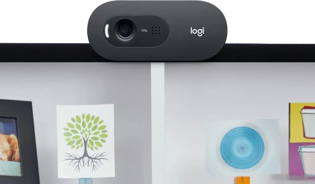 Веб-камера Logitech C505e – фото товара