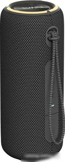 Беспроводная колонка Aiwa PAS-H300 (черный) – фото товара