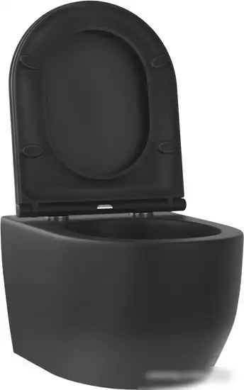 Унитаз подвесной Wellsee Croquis RimFree 182613001 (чаша, пневмокрышка, матовый черный) - фото товара