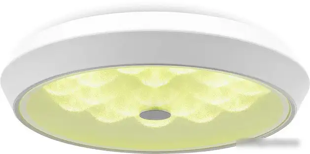 Припотолочная люстра Freya FR10012CL-L24W (белый) – фото товара