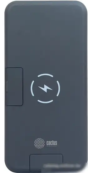 Внешний аккумулятор CACTUS CS-PBFSQT-10000 (черный) – фото товара