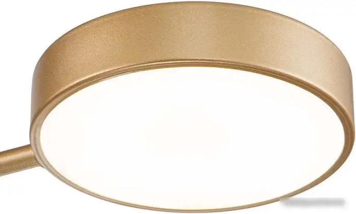 Люстра средней высоты Escada 10258/3LED Champagne – фото товара