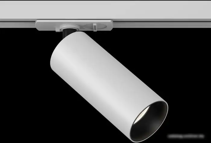 Трековый светильник Maytoni TR021-1-12W3K – фото товара
