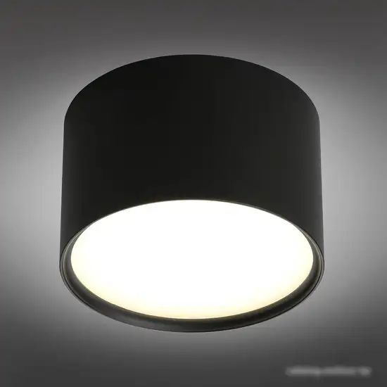 Спот Omnilux OML-100919-06 – фото товара