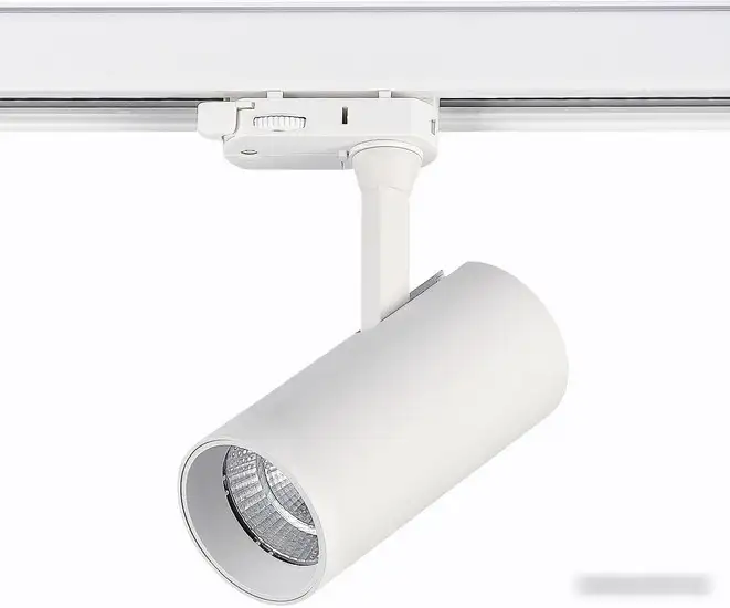 Трековый светильник ST Luce ST661.546.10 – фото товара