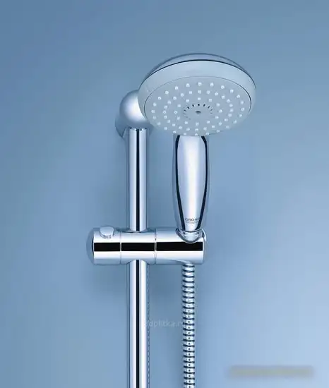 Душевая лейка Grohe New Tempesta 100 28419002 - фото товара