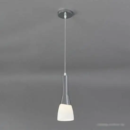 Светильник Escada 10167/1S E27*60W Chrome/White – фото товара