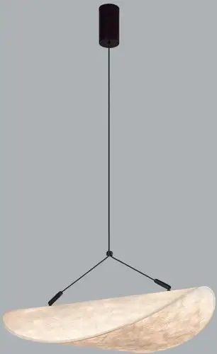 Подвесная люстра Odeon Light Silk 7067/30L – изображение в каталоге