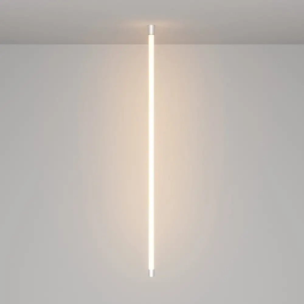 Подвес для неона Maytoni Nemo D25 серебро 20311 – фото товара