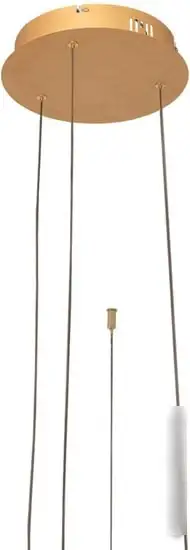 Подвесная люстра LOFT IT Ring 10017/3S – фото товара
