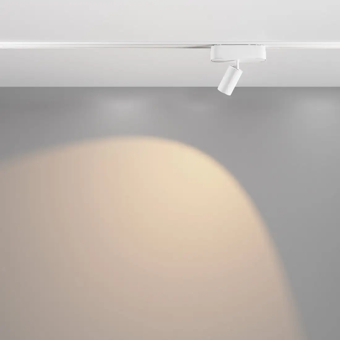 Трековый светильник Technical TR103-1-5W3K-M-W – фото товара