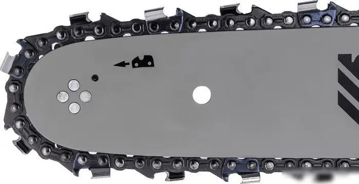 Бензопила Denzel DS-5820 – фото товара