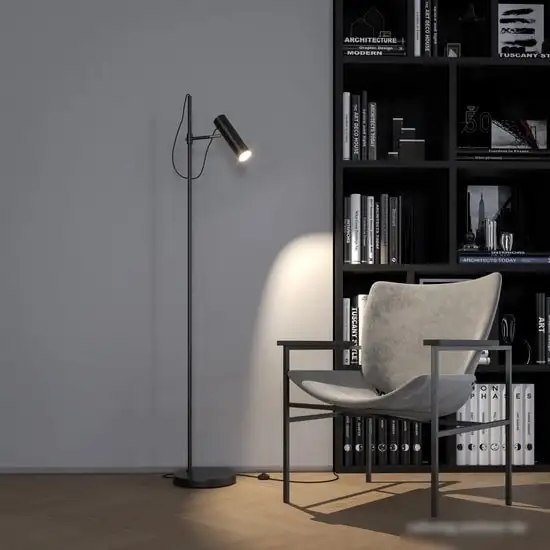 Торшер Maytoni Bansky MOD129FL-01B – фото товара