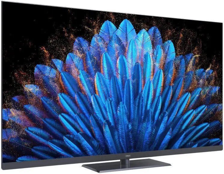 Телевизор Hikers 55HAQ12 – фото товара