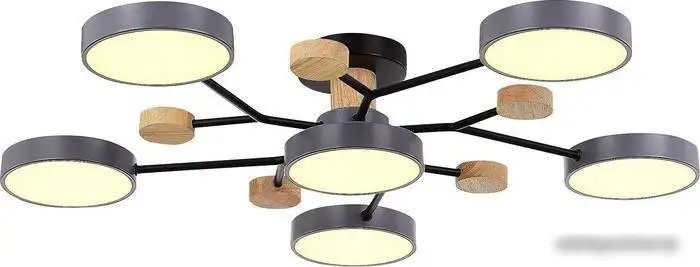 Припотолочная люстра Evoluce Faema SLE6006-702-06 – фото товара