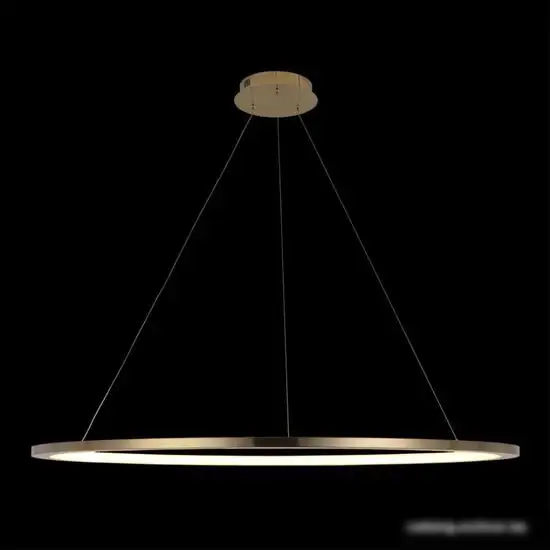 Подвесная люстра LOFT IT Ring 10014XXL – фото товара