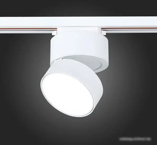 Светильник ST Luce ST651.546.14 – фото товара