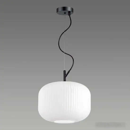 Подвесная люстра Odeon Light Roofi 4754/1 – фото товара
