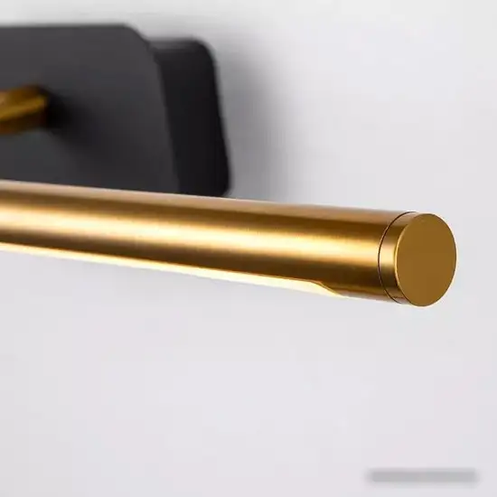 Подсветка для картин Favourite Insight 4016-2W – фото товара