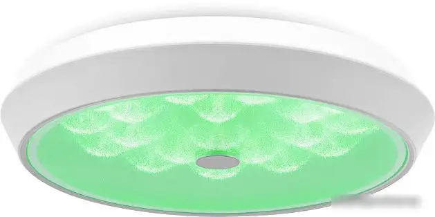 Припотолочная люстра Freya FR10012CL-L24W (белый) – фото товара