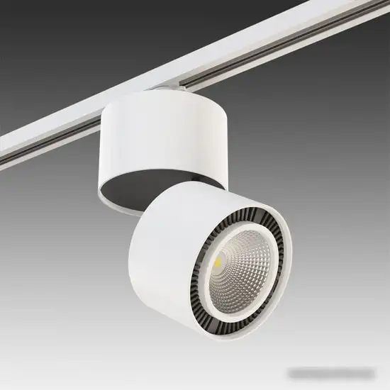 Трековый светильник Lightstar Forte Muro A1T214850 – фото товара