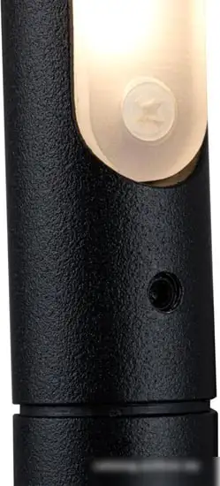 Бра LOFT IT Stick 10012/6BK – фото товара