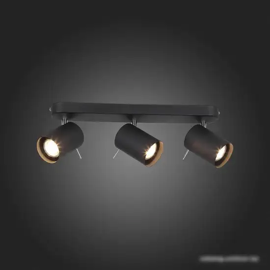 Спот ST Luce Fanale SL597.401.03 – фото товара