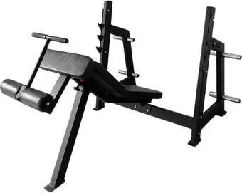 Силовая скамья Bronze Gym AL-306 – изображение в каталоге