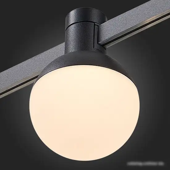 Трековый светильник ST Luce Farm ST815.406.05 – фото товара