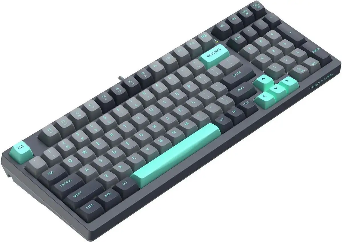 Клавиатура A4Tech Fstyler FS300 Panda Rock Climbing – фото товара