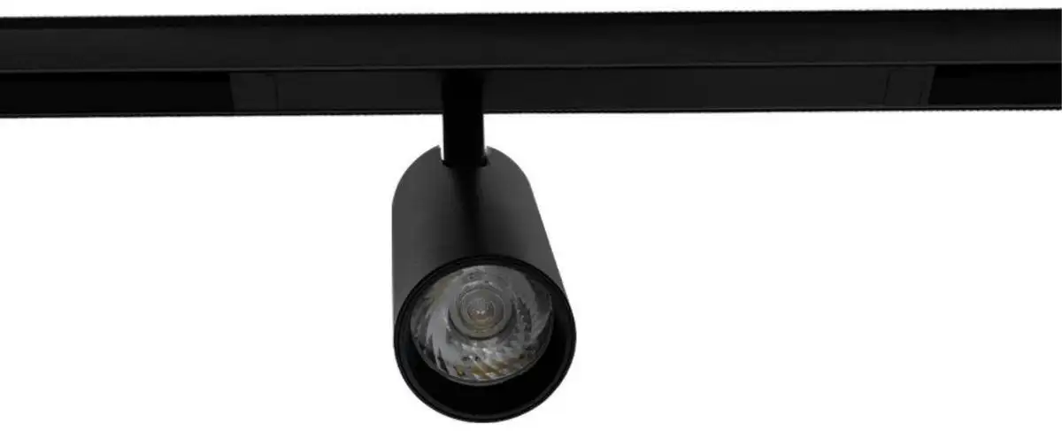 Трековый светильник Aployt Magnetic Track 220 APL.0205.01.10 – фото товара