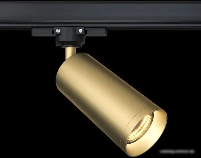 Трековый светильник Maytoni Focus TR028-3-GU10-MG – фото товара