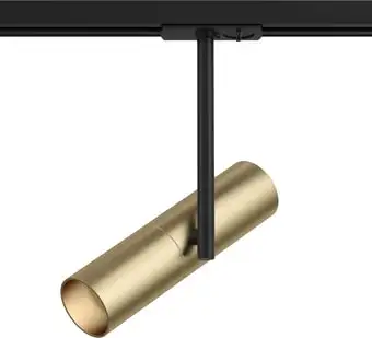 Трековый светильник Maytoni TR005-1-GU10-BG TR005-1-GU10-BG – изображение в каталоге