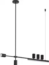 Подвесная люстра Kinklight Рия 07618-150.19 (черный) – изображение в каталоге