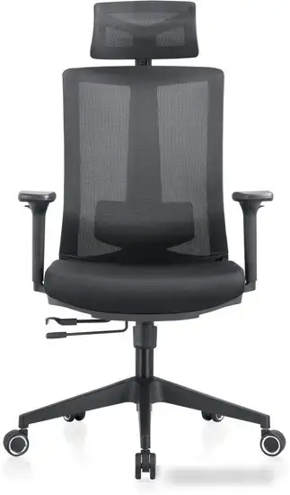 Кресло Evolution ERGO BLISS Black (черный) – фото товара