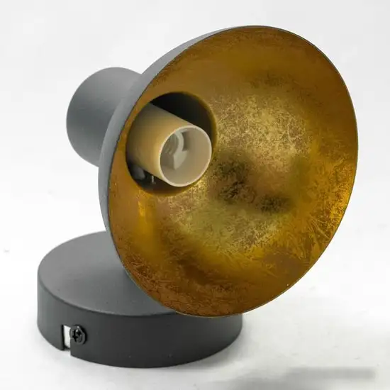 Спот Lussole Loft LSP-9973 – фото товара