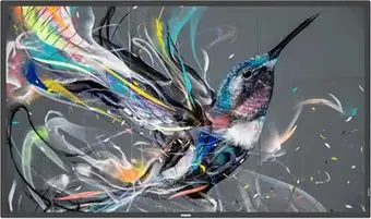 Информационная панель Philips 55BDL3511Q/00 – изображение в каталоге