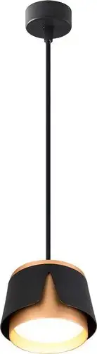 Подвесная люстра Arte Lamp Amaks A8028SP-1BK – изображение в каталоге